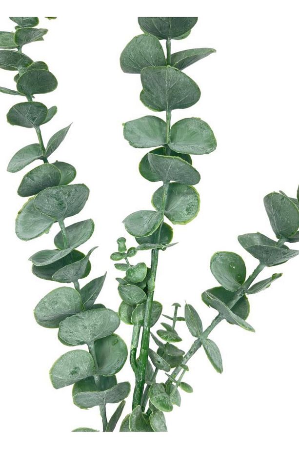 Yapay Çiçek Yeşil Okaliptus 3dallı Uzun Dal 76cm Eucalyptus - 4