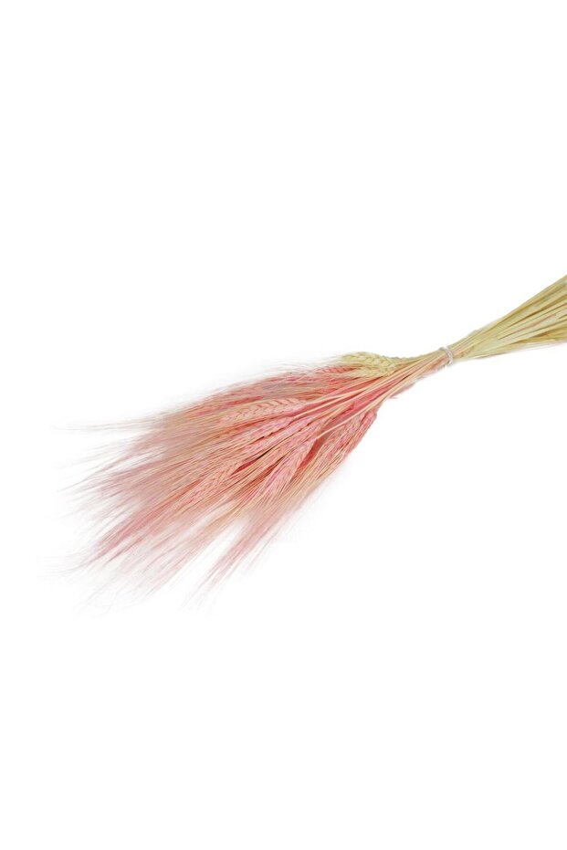 Kuru Çiçek Doğal Pembe Başak 35gram 1. Kalite Şoklanmış Bozulmaz - 1