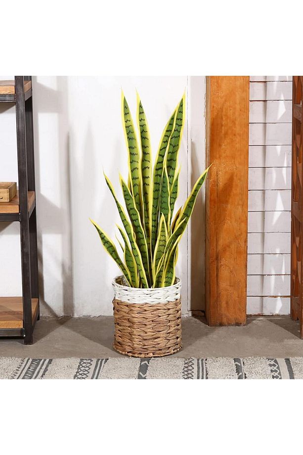 Yapay Çiçek Sansevieria Yeşil Kılıç Çiçeği 4 Adet 65cm Salon Çiçeği Yapay Bitki - 5