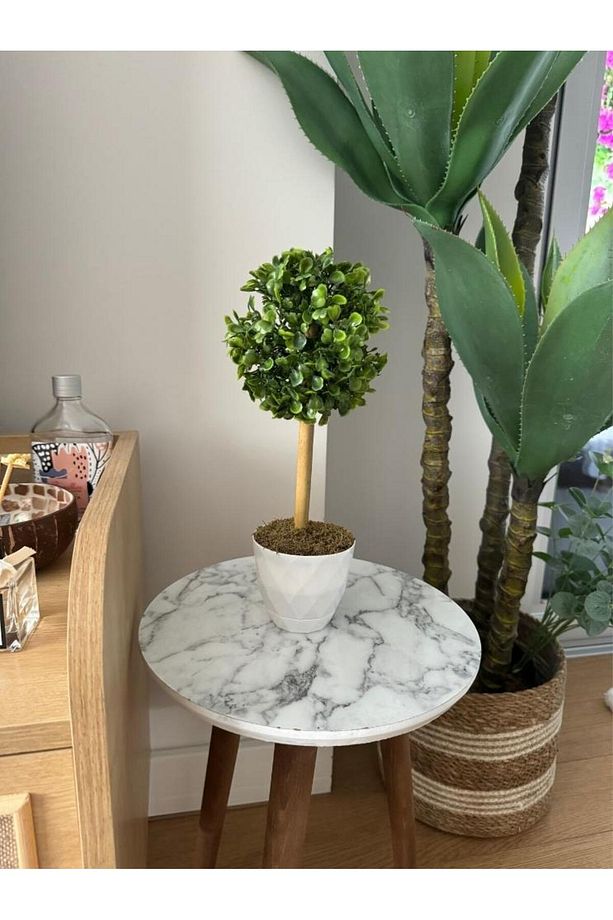 Yapay Ağaç Şimşir Top Tek Toplu 12x31cm Beyaz Saksıda - 5