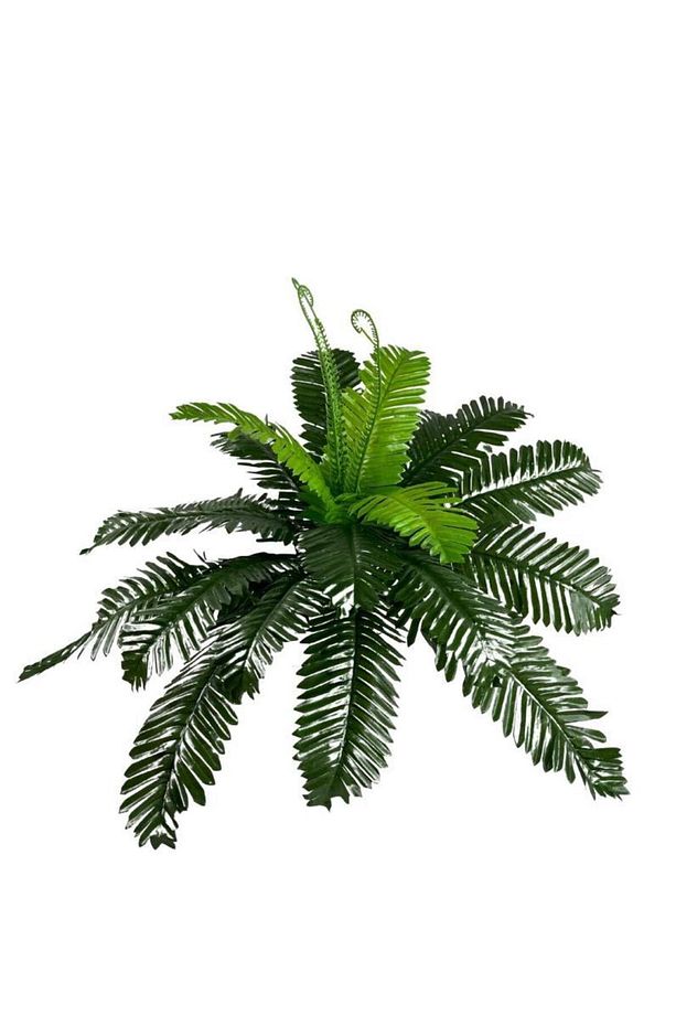 Yapay Çiçek Cycas Aşk Merdiveni Eğrelti Otu Sıkas Bitkisi 24 Yaprak 45*60 Cm Yapay Bitki - 5