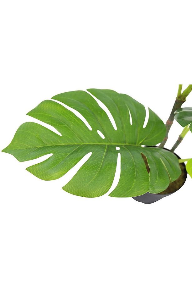 Yapay Çiçek Monstera Deve Tabanı Siyah Saksılı Salon Çiçeği 12 Yaprak - 4