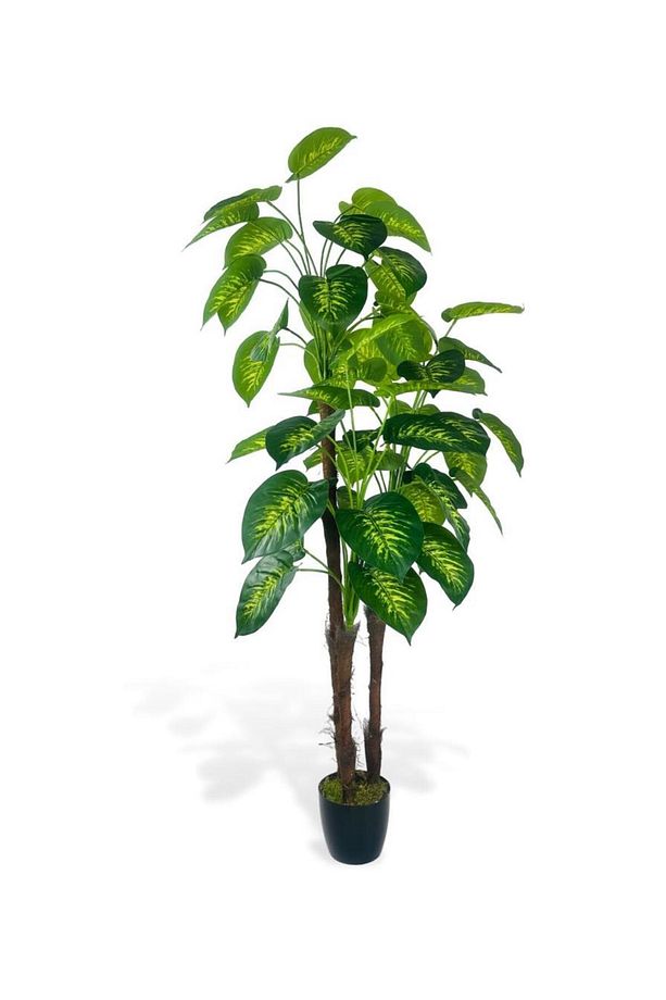 Yapay Çiçek Difenbahya Sarı Yeşil 3Katlı 160cm 54Yaprak Siyah Plastik Saksıda Yapay Bitki - 1