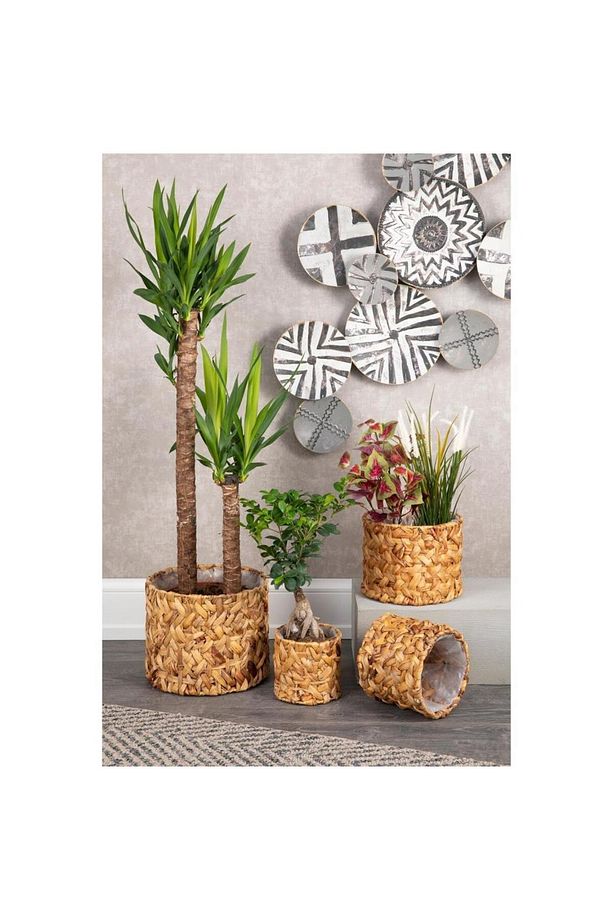 Dekoratif Hasır 4lü Set Saksı Bohem Konsept Muz Lifi Örgü Saksı - 5