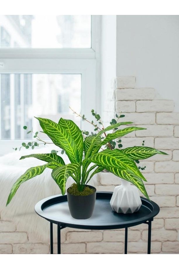 Yapay Çiçek Drecana Yukka 12yaprak Salon Çiçeği Plastik Siyah Saksılı Yapay Bitki - 4