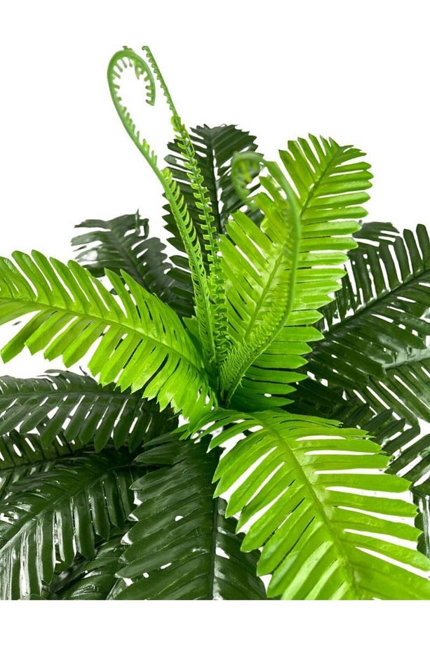 Yapay Çiçek Cycas Aşk Merdiveni Eğrelti Otu Sıkas Bitkisi 24 Yaprak 45*60 Cm Yapay Bitki - 2