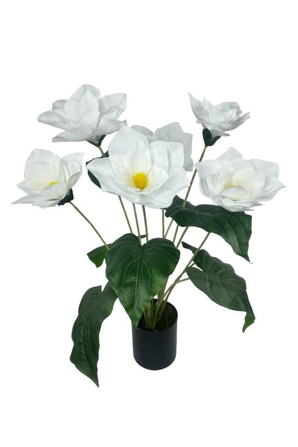 Yapay Çiçek Islak Manolya Çiçeği 6 Çiçekli 65cm Siyah Saksıda Salon Çiçeği - 8