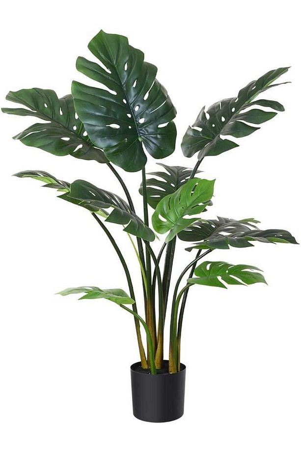 Yapay Ağaç Monstera Deve Tabanı Ağacı 160 cm 12 Yaprak - 1