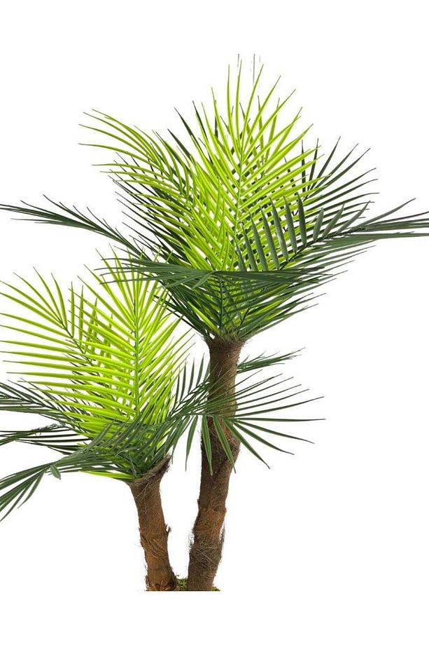 Yapay Ağaç 2 Dal 100cm Areka Palmiye Ağacı Areka 2katlı Salon Çiçeği Yapay Çiçek - 4