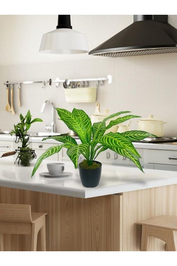Yapay Çiçek Drecana Yukka 12yaprak Salon Çiçeği Plastik Siyah Saksılı Yapay Bitki - 5