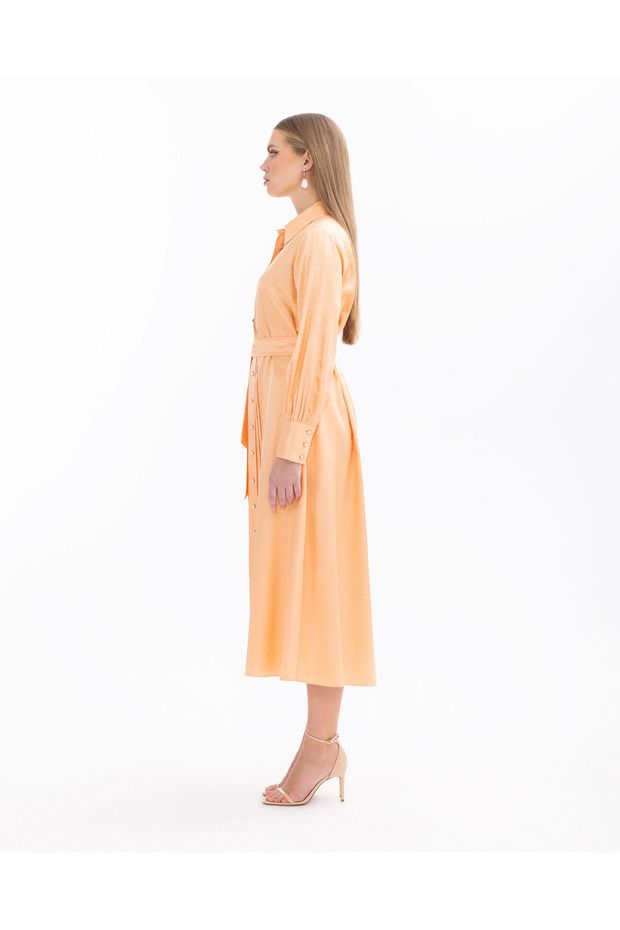 Gömlek Yaka Puantiyeli Elbise - 4