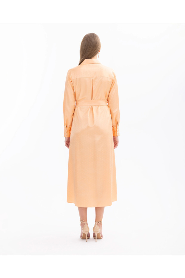 Gömlek Yaka Puantiyeli Elbise - 5