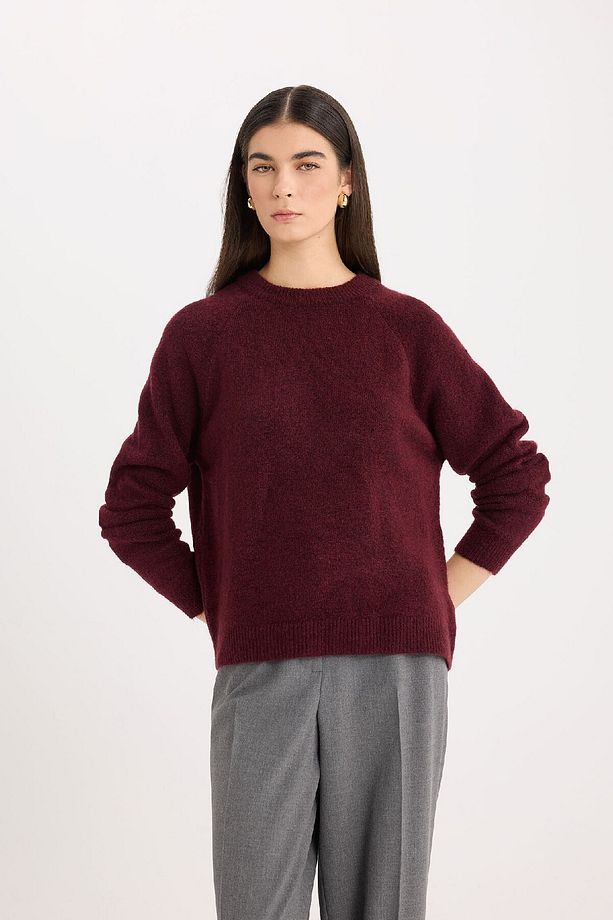Regular Fit Bisiklet Yaka Basic Düz Triko Kazak D0035AX24WN - 5