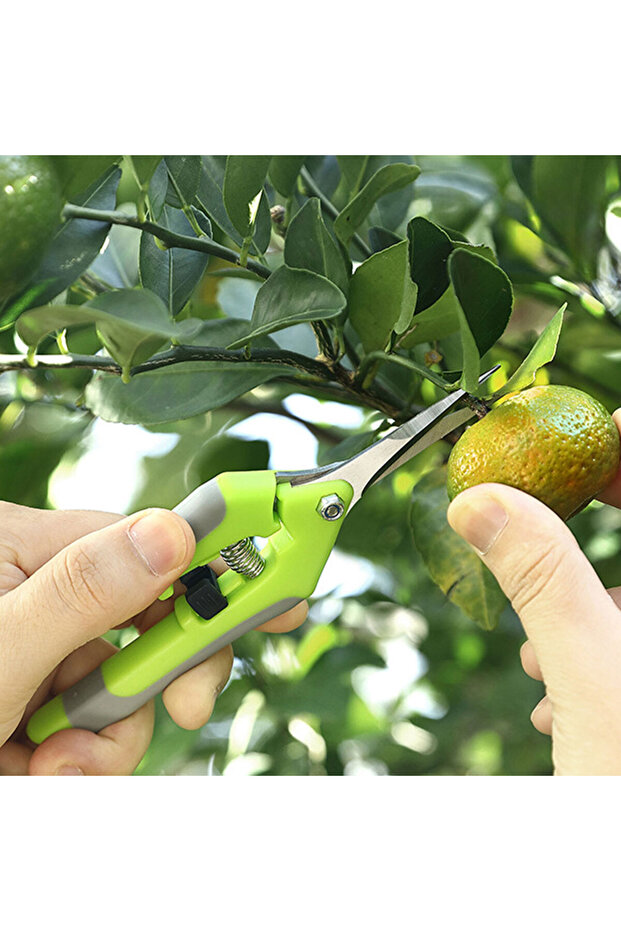 مقص قص رفيع j-1294 - 6