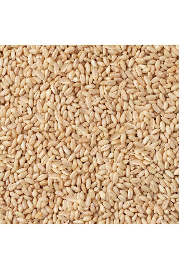 Manisa Aşurelik Buğday - 2