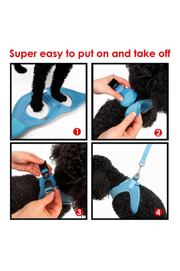 Kedi Köpek Air-Mesh Göğüs Tasması ve Gezdirme Sevk Kayışı Seti 2Sİ1 ARADA Mavi - 7
