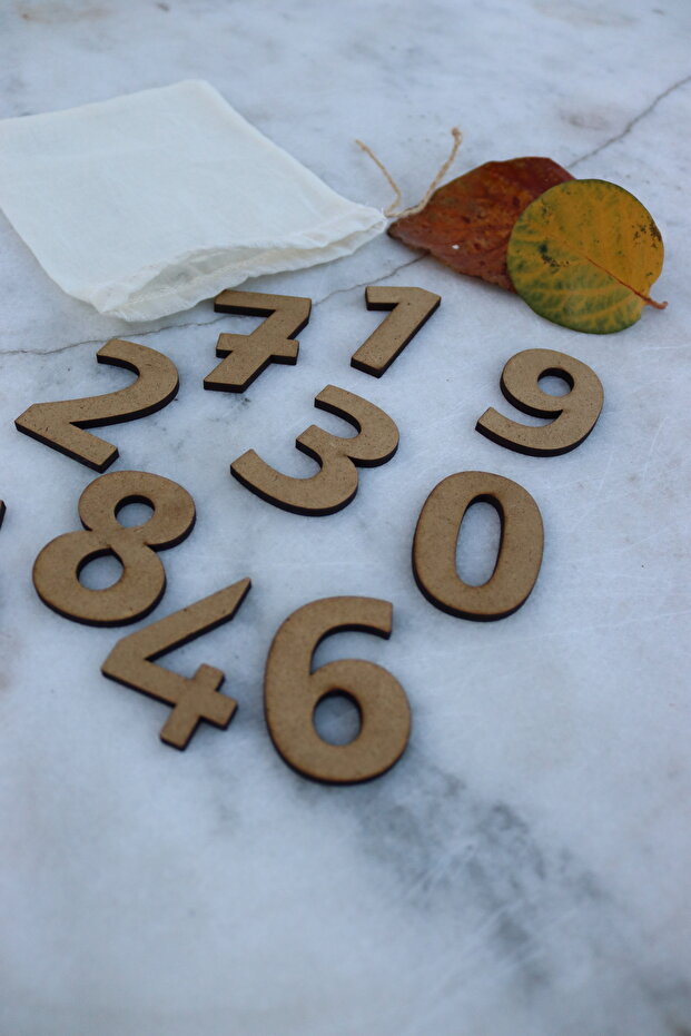 Educational Wooden Numbers Set in a Pouch Is Our Gift