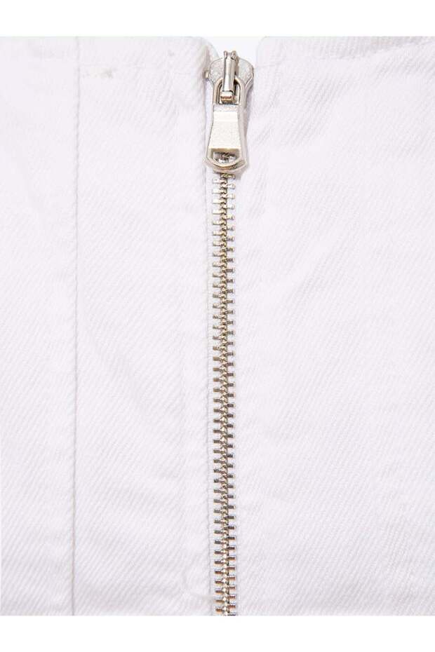 الأبيض جان بوستير - 8