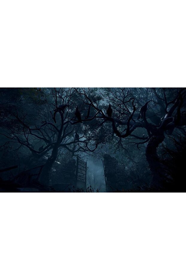 Resident Evil 4 Gold Edition Ps5 Oyun - 4