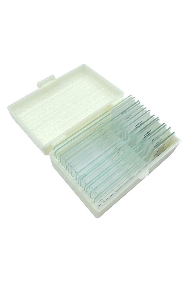 Mayoz Mitoz Preparatları - 2