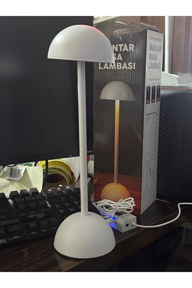 Mantar Masa Lambası - 4