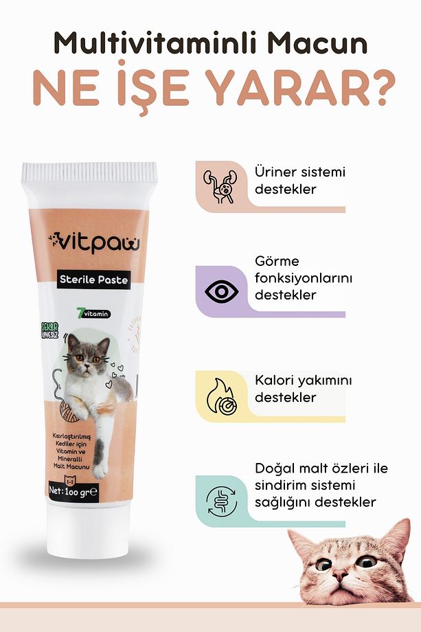 Sterile Paste 100 Gr.(KISIRLAŞTIRILMIŞ KISIR KEDİLER IÇİN MULTİVİTAMİN VE MİNARELLİ MALT MACUN) - 3