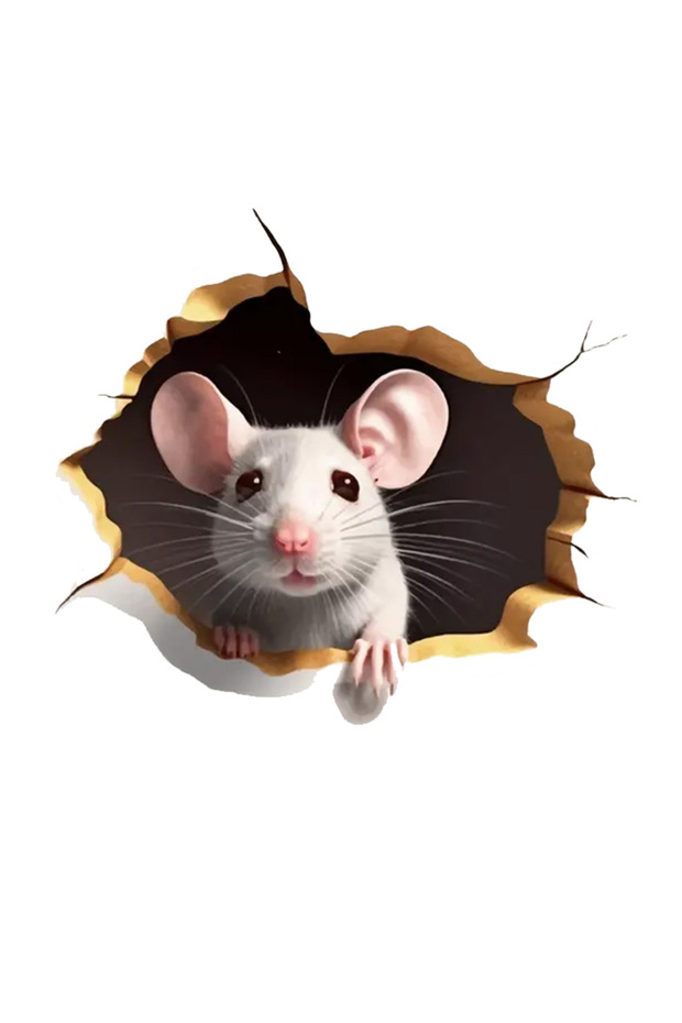 3D Mouse Dock Sticker Car, Motorcycle, Helmet, Laptop, Glass Sticker 13X12 cm