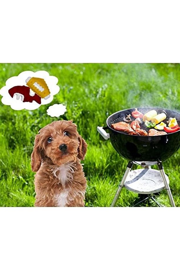 Yum N Fun Balık Aromalı Çiğneme Köpek Oyuncağı 12,5 Cm - 4