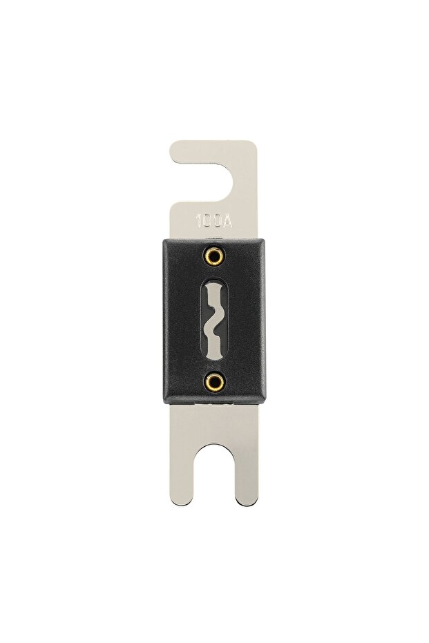 Phoenix ANL Fuse 100A