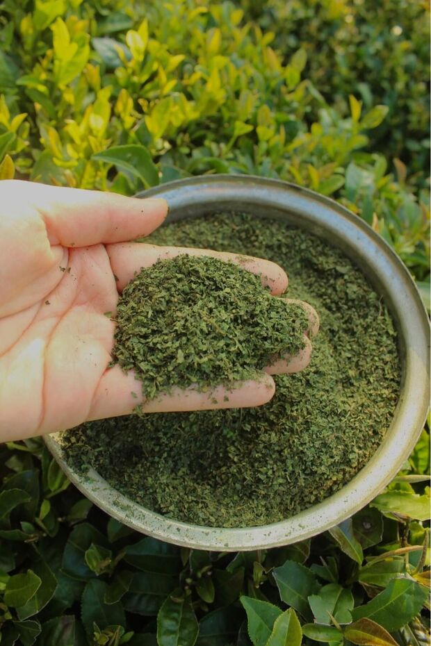 Isirgan Herb 45 Gr. Natural Production