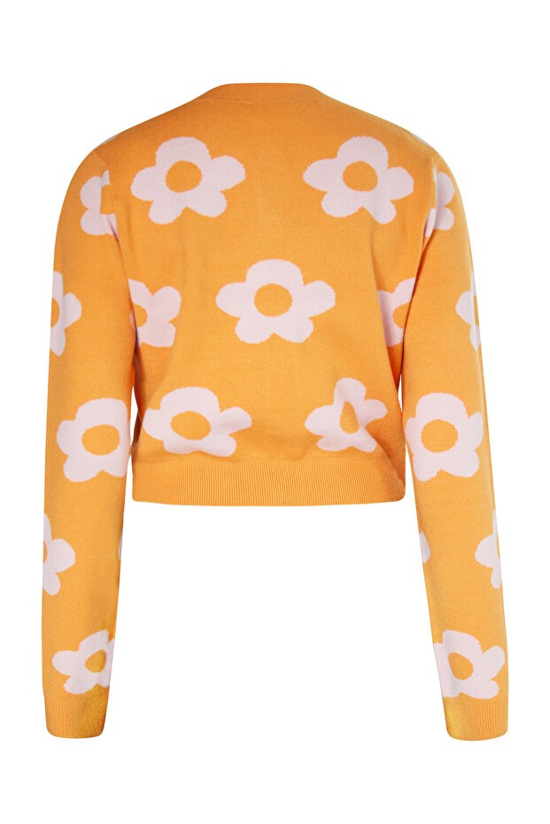 Cardigan - 2