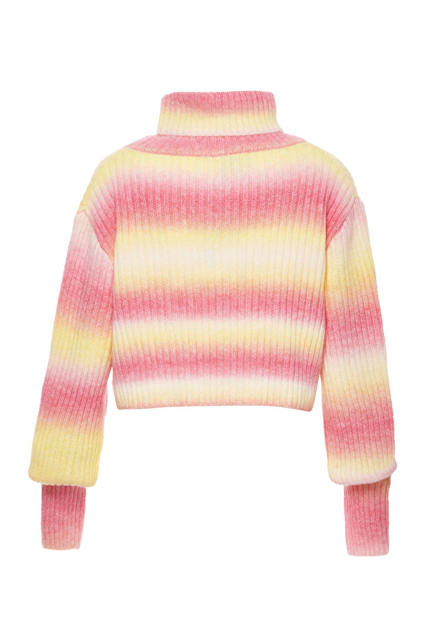 Rollkragenpullover - 2