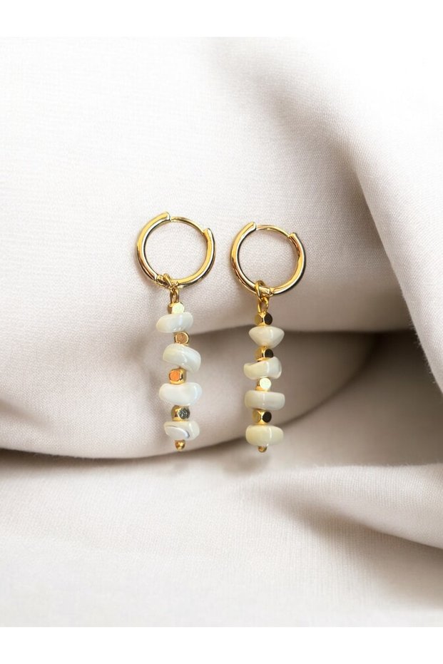 Steel Mother of Pearl Earrings
