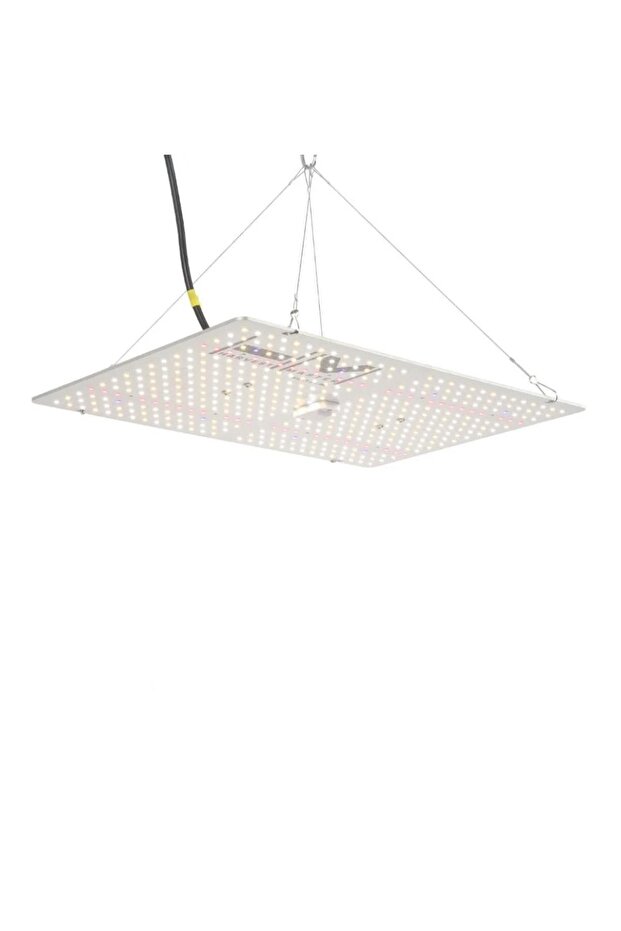 Quantum Board 200W Eco - 1