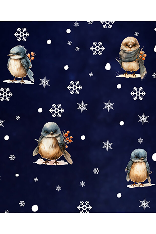 2026 Cute Christmas Birds and Snowflakes Sticker Set 100% Double-Sided - New Year Decoration