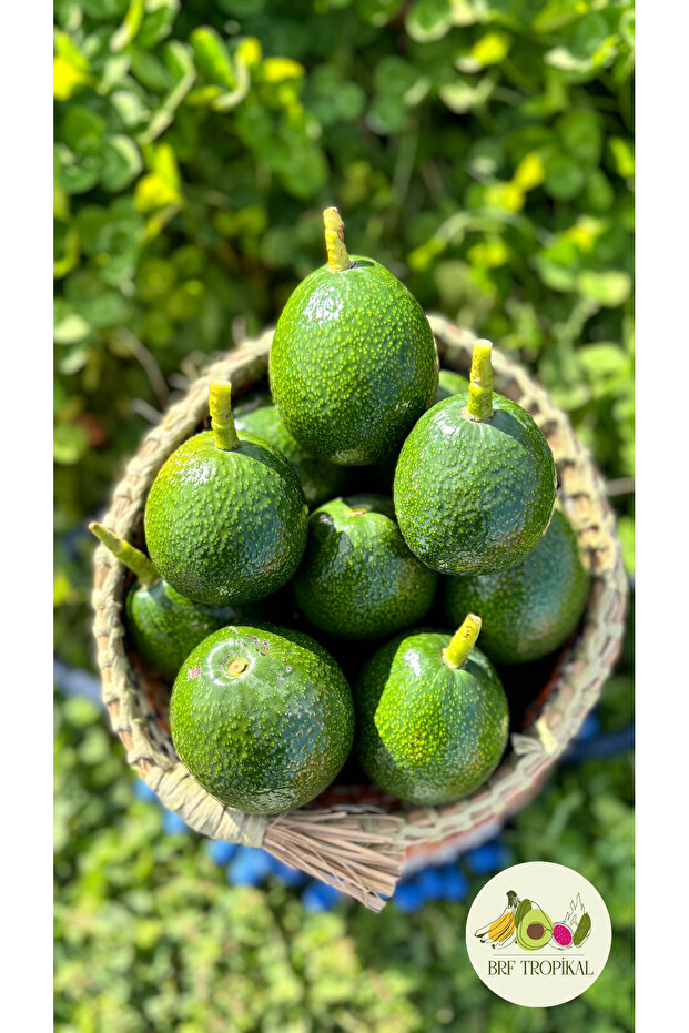 Avokado 1kg - 1