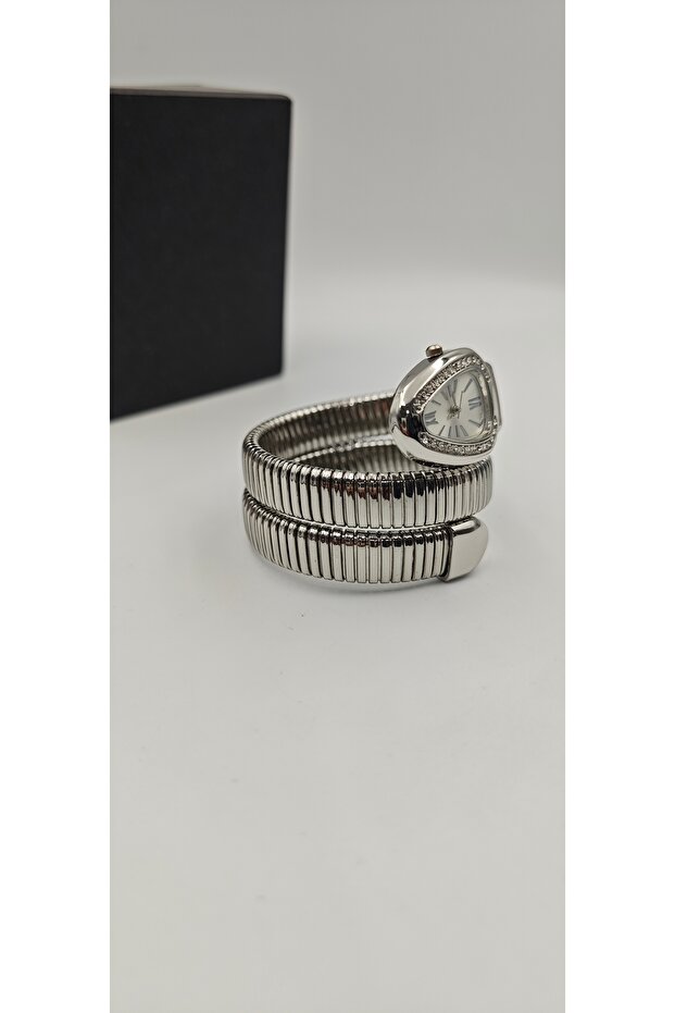 Yılan Model  Saat - 4