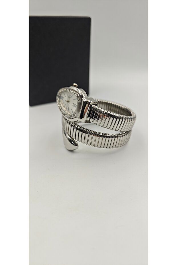 Yılan Model  Saat - 5