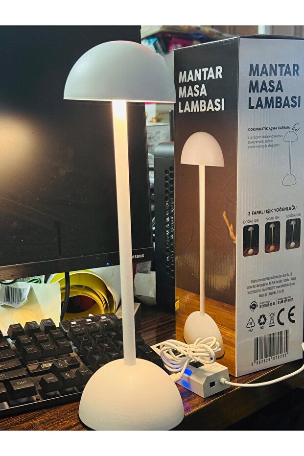 Mantar Masa Lambası - 3