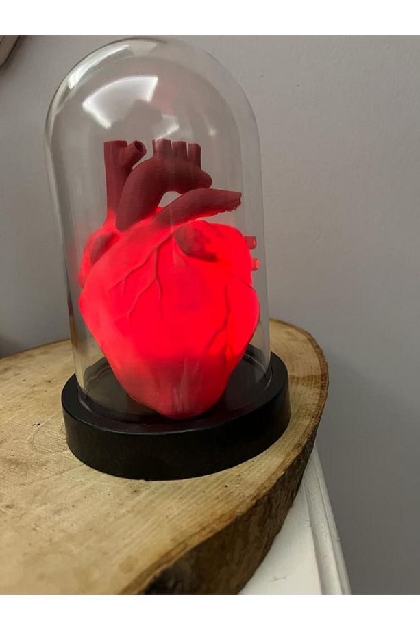 Sevgililer Günü Hediyelik Dekoratif Anatomik Kalp Gece Lambası - 6