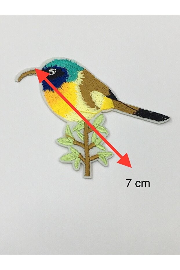 نموذج الطيور أرما - 5