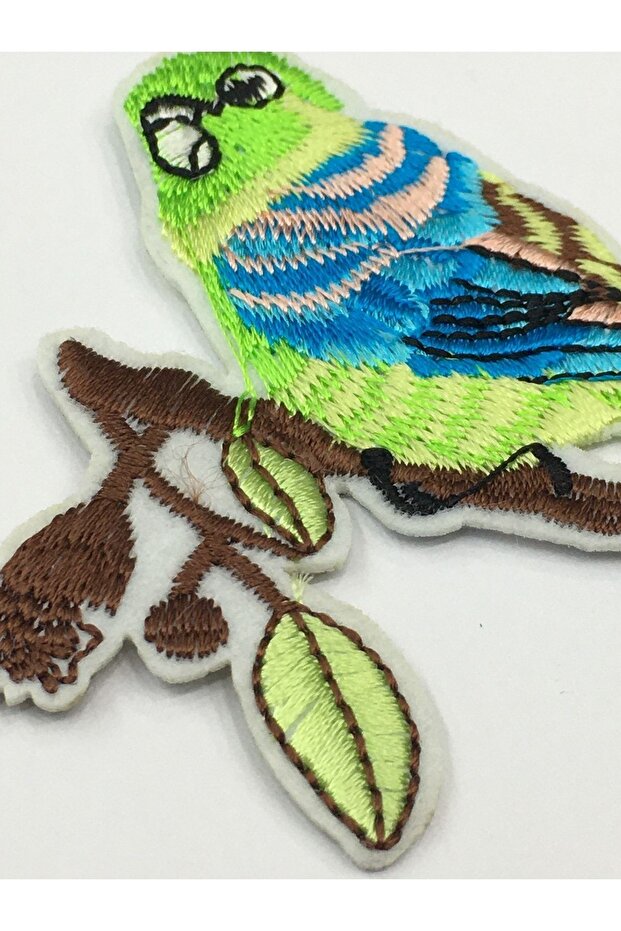 نموذج الطيور أرما - 4