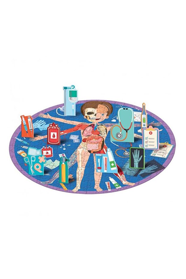 Sassi Travel - Learn and Explore - The Human Body - 1