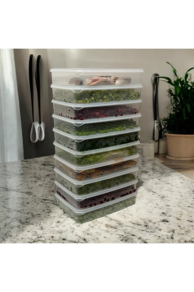 Vacuum 100% Leak Proof 8 Pieces 2.5 Lt Large Size Rectangular Storage Container Set - 4