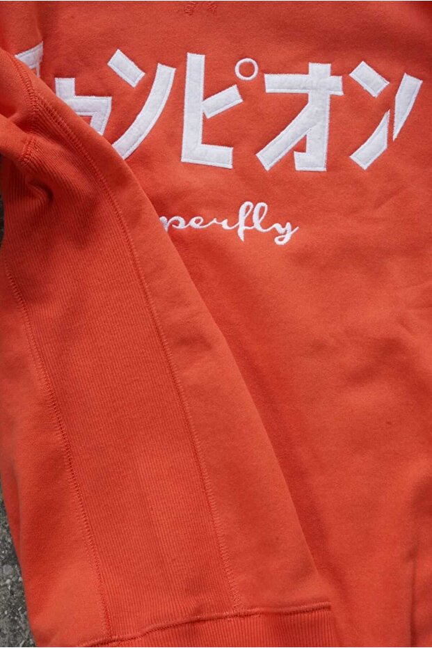 Aplike baskılı 3 iplik sweatshirt - 5