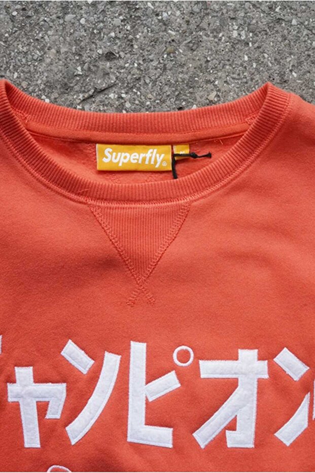 Aplike baskılı 3 iplik sweatshirt - 3