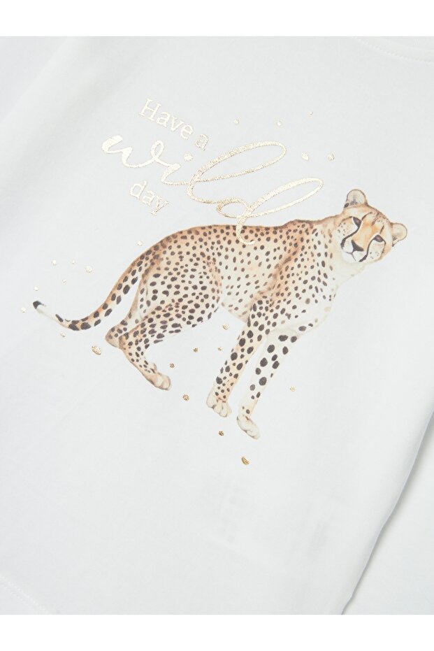 صندوق NMFSUSANNA LS العلوي - 3