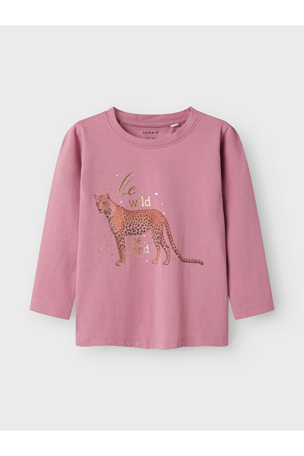 صندوق NMFSUSANNA LS العلوي - 1