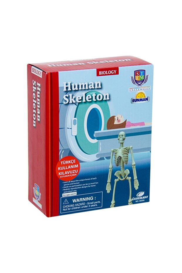 Science Set: Human Skeleton - 1
