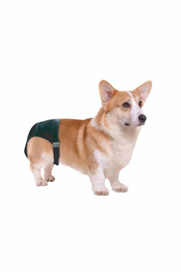 Dişi Köpek Hijyenik Regl Kilodu XLarge No:4 - 2